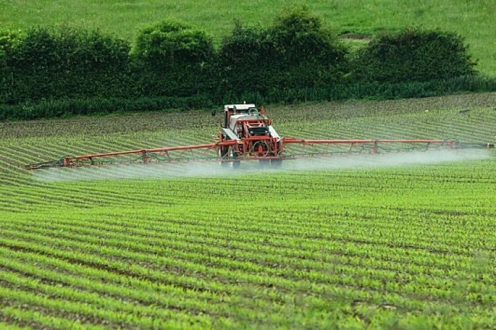 Продаж сільськогосподарського підприємства 1000 га